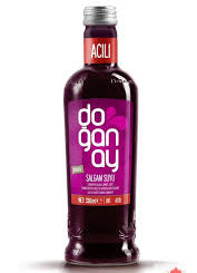 DOGANAY HOT SALGAM 250ML GLASS